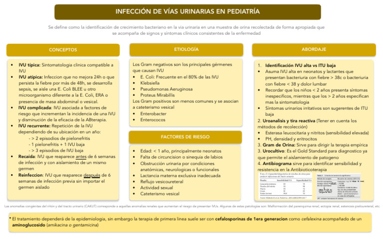IVU en Pediatria | PDF | Enfermedades y trastornos | Microbiología