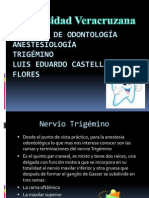 Anesteciologia Trigemino Expo