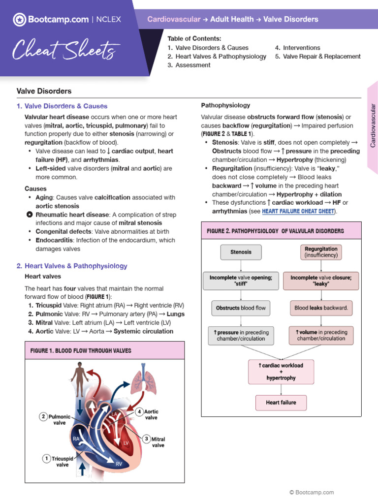 Understanding Valve Disorders and Treatments | PDF | Heart | Heart Valve