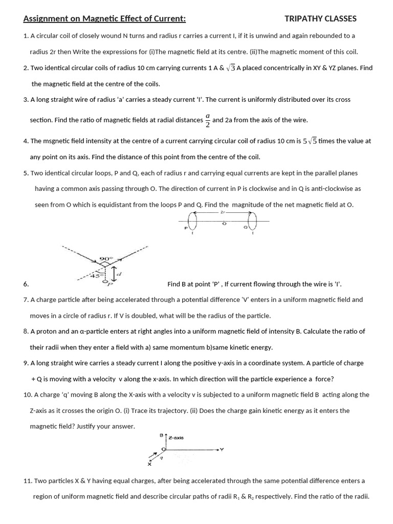 Assignment-Magnetic Effect of Current - 2025 | PDF | Magnetic Field | Force