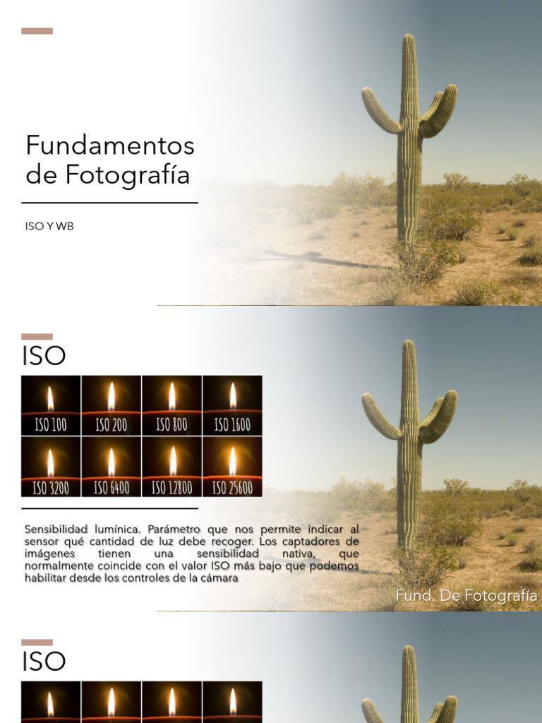 Fundamentos de ISO y Balance de Blancos | PDF | Cámara | Imagen