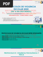 Protocolos de Violencia Escolar 2025 | PDF