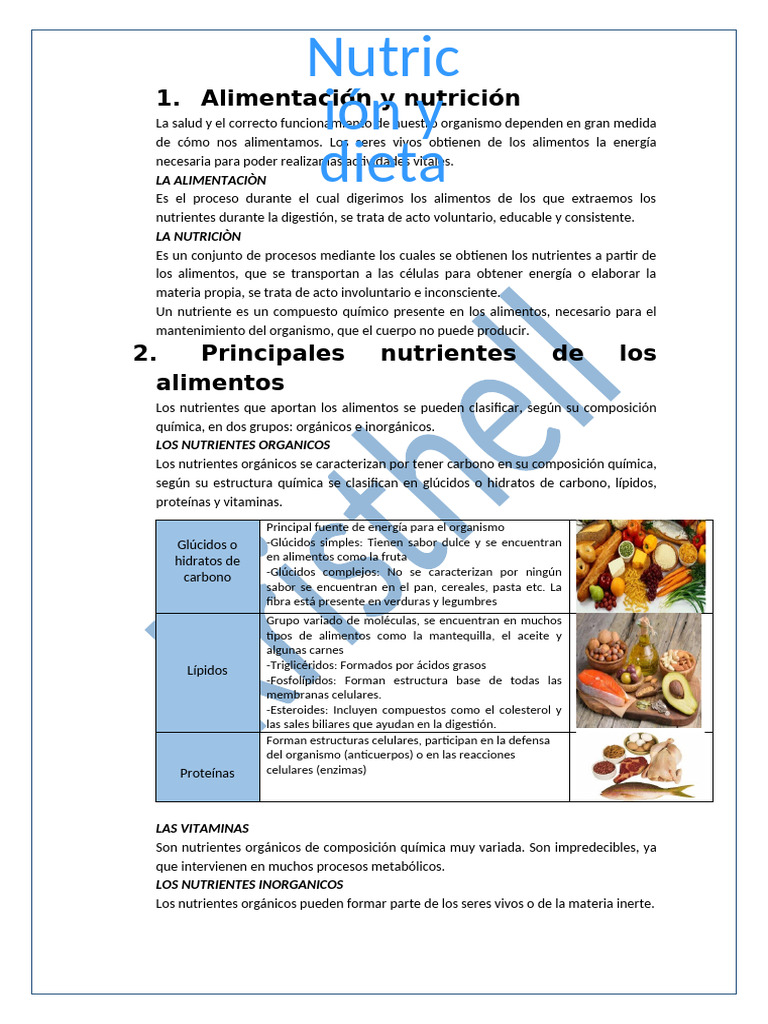 Nutrientes y Alimentación Saludable | PDF | Nutrientes | Alimentos