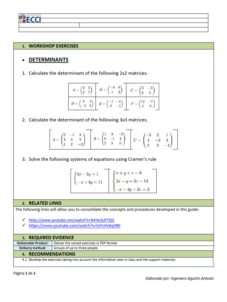 Linear Algebra Workshop: Determinants | PDF
