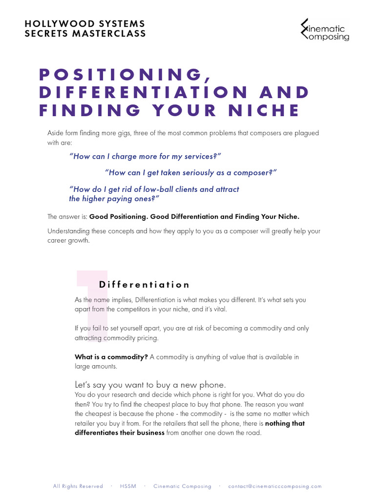 04 HSSM Differentiation Position Niche | PDF