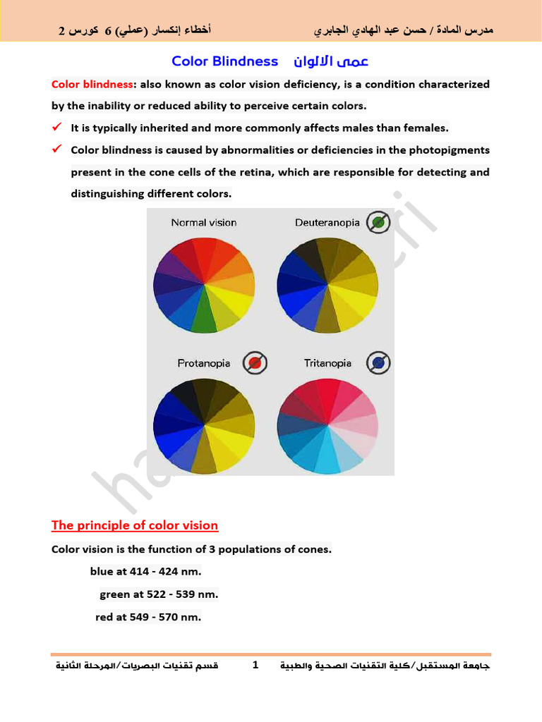 Understanding Color Blindness and Tests | PDF | Vision | Visual System