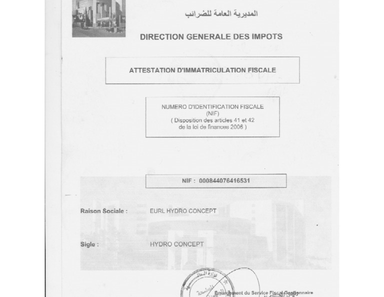Nif | PDF