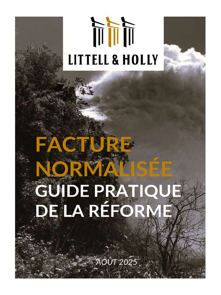 Guide sur la Facture Normalisée RDC | PDF | Taxe sur la valeur ajoutée ...