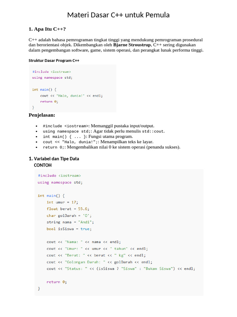 Panduan C++ Dasar untuk Pemula | PDF