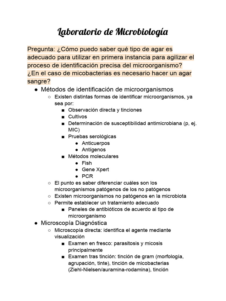 Lab de micro (1) | PDF | Bacterias Gram-negativo | Las bacterias