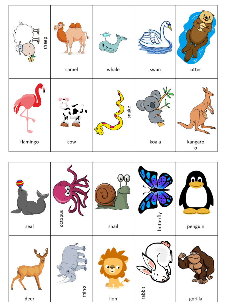 Animal Names List and Categories | PDF