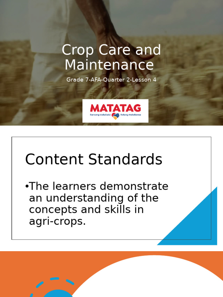 Lesson4cropcareandmaintenance 241026152433 fd380296 | PDF | Agriculture ...