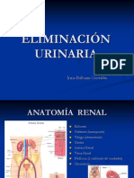 Necesidad Eliminación Urinaria