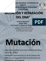 MUTACIONES, CAUSAS Y MECANISMOS Y REPARACIÓN Del DNA. (FINAL)