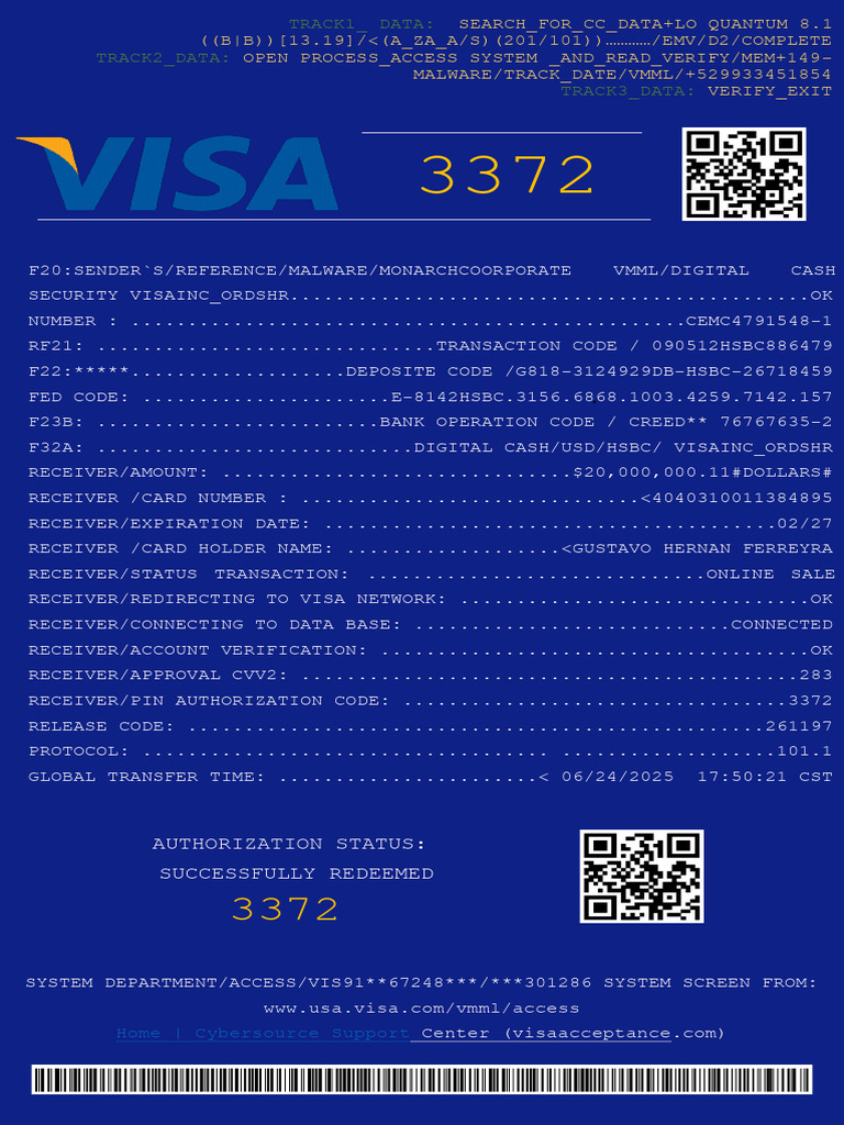 Visa Transaction Data Report | PDF | Data | Information Retrieval