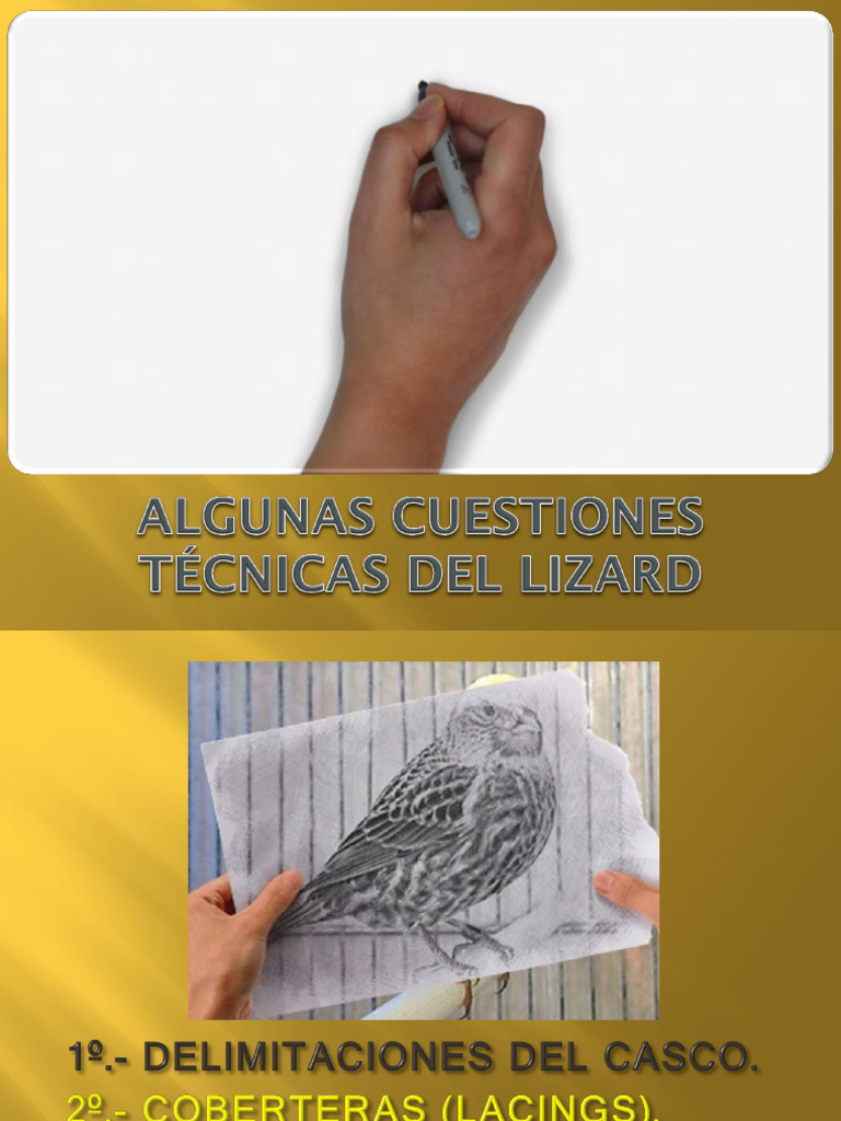 Características del Casco del Lizard | PDF | Pluma