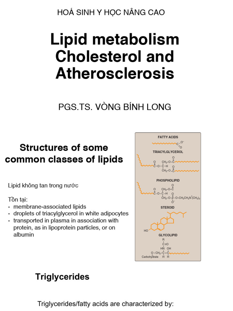 Lipid Metabolism and Atherosclerosis Insights | PDF | Lipid | Lipoprotein