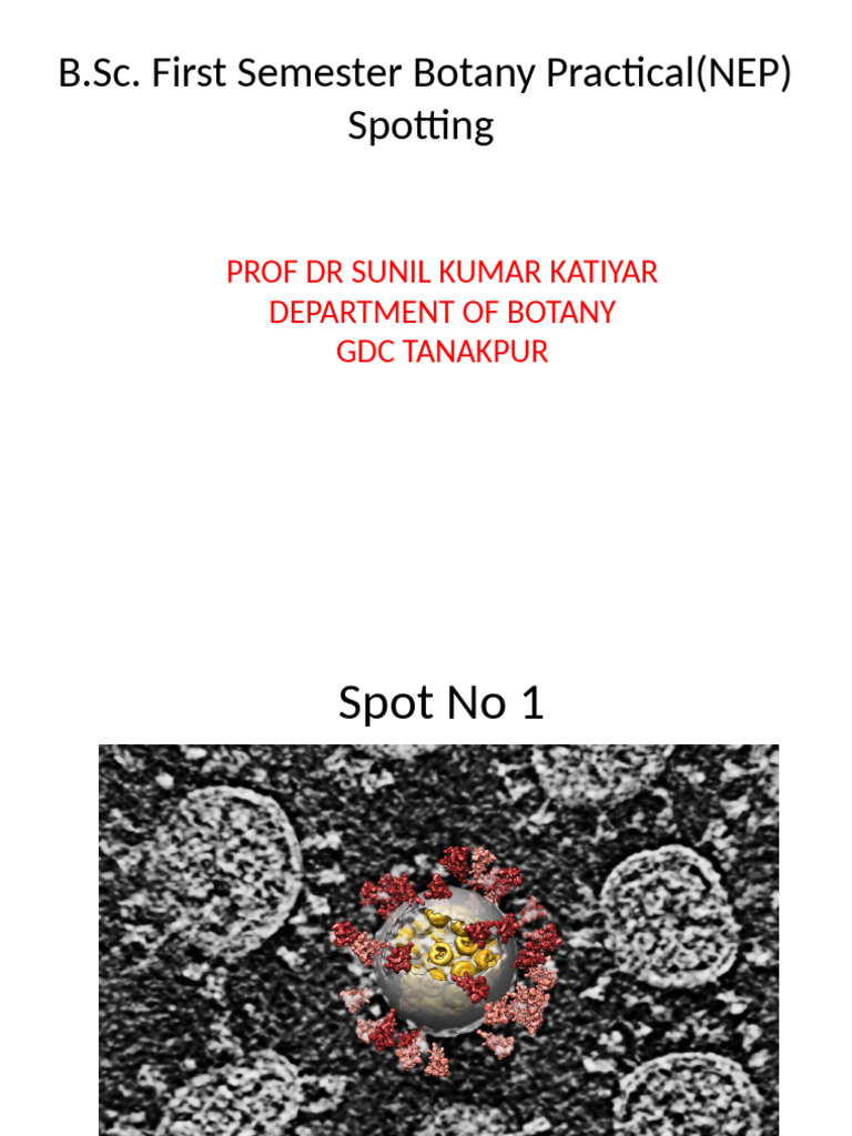 Botany Practical Spotting Guide | PDF