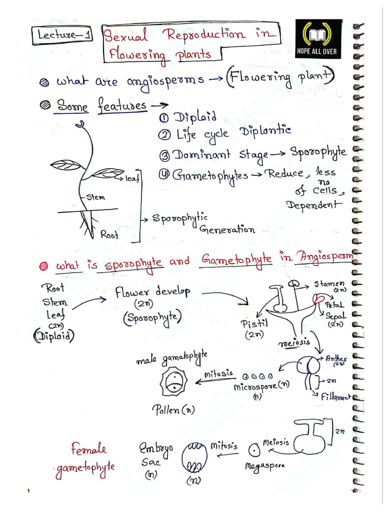 Document Scanned by TapScanner | PDF
