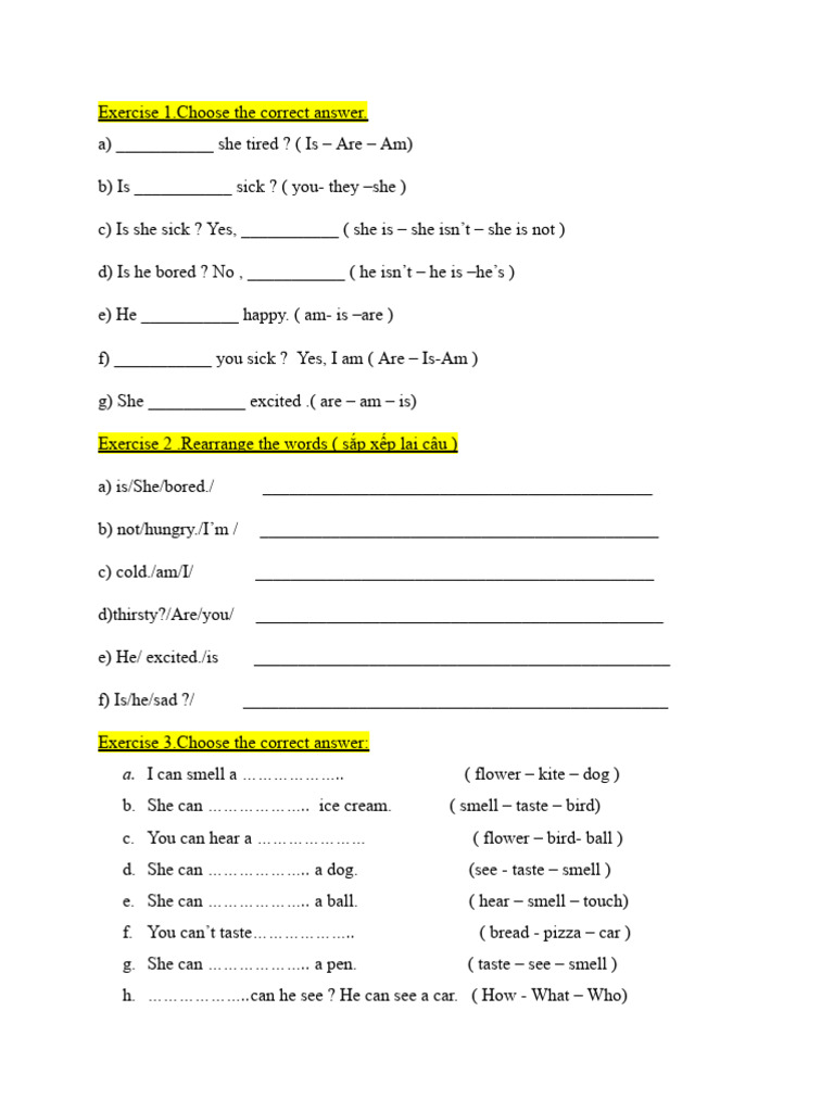 English Grammar Exercises for Beginners | PDF | Zoology