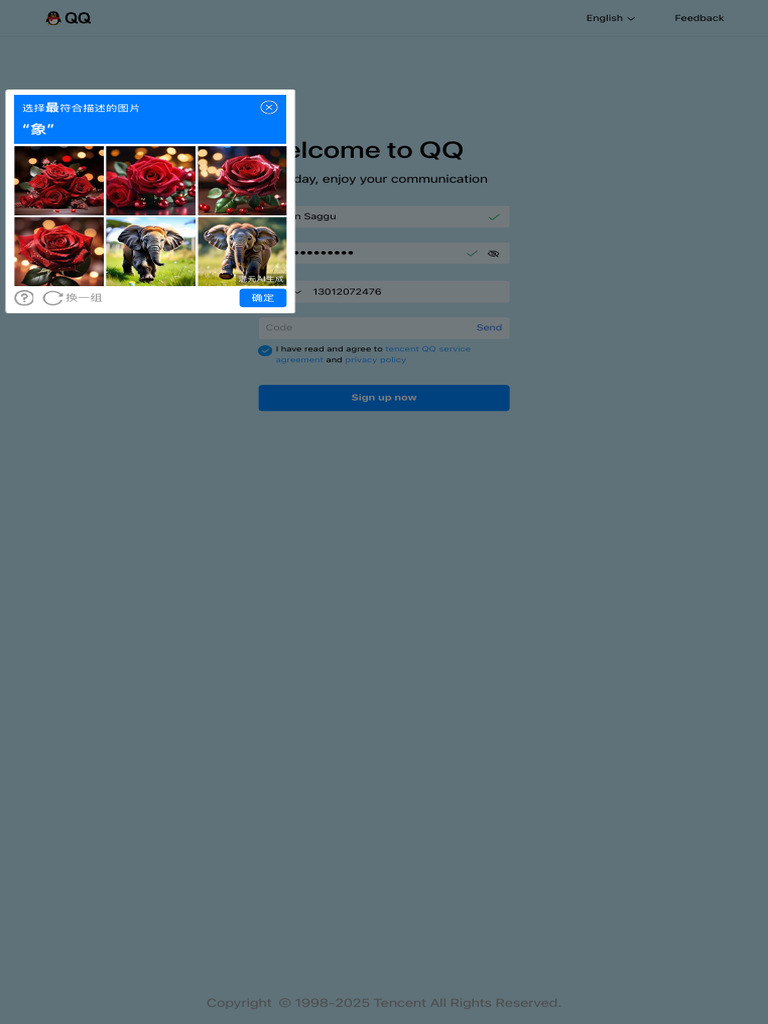 QQ Registration | PDF