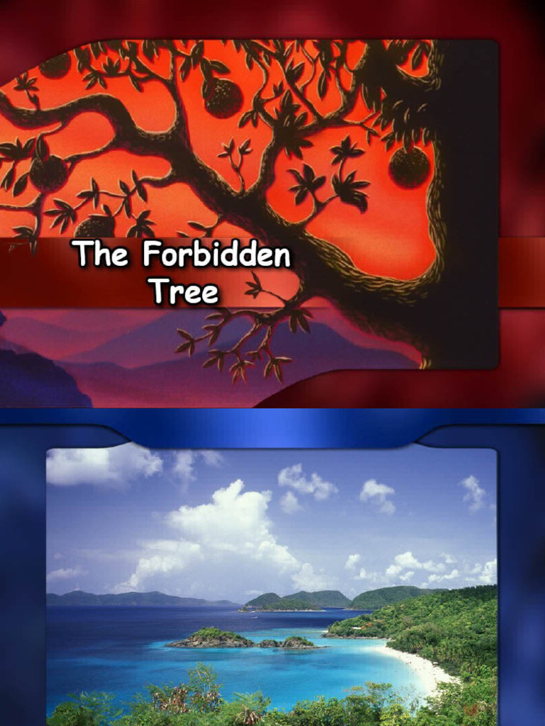 D 04 The Forbidden Tree Origin of Evil 082523 | PDF
