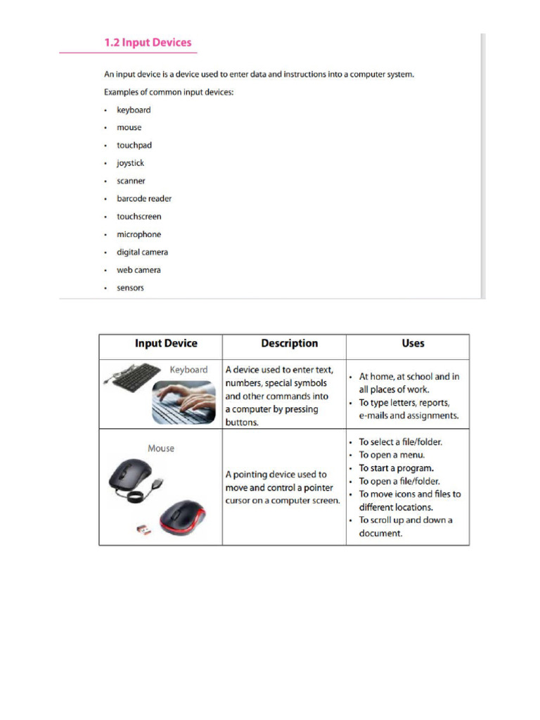 Input and Output Devices | PDF