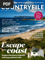 Country Life UK 2024年11月6 | PDF