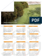 Calendari 2009