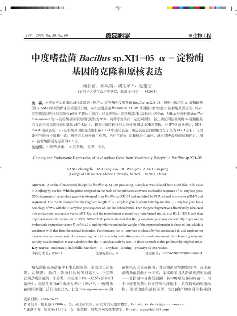 Cloning and Expression of Bacillus Amylase | PDF