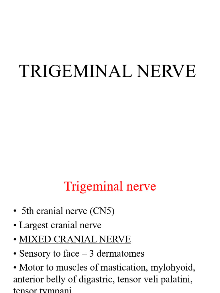 Applied Anatomy of Trigeminal Nerve | PDF | Human Anatomy | Human Head ...