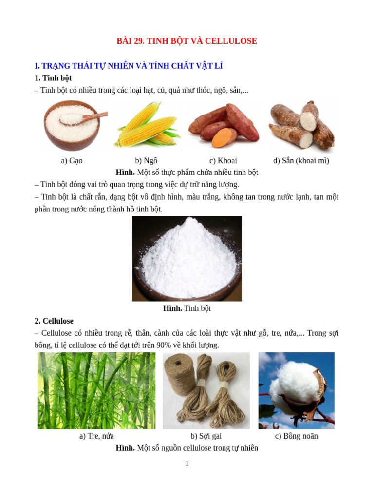 Bài 29. Tinh B T Và Cellulose (GV) | PDF