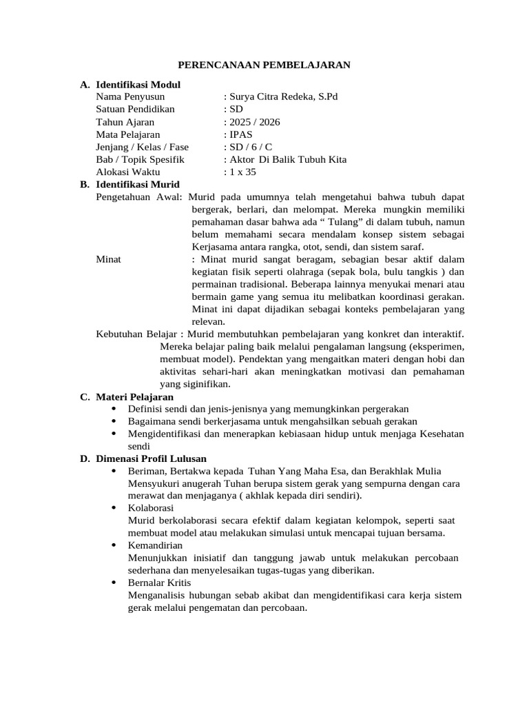 Contoh Modul PM | PDF