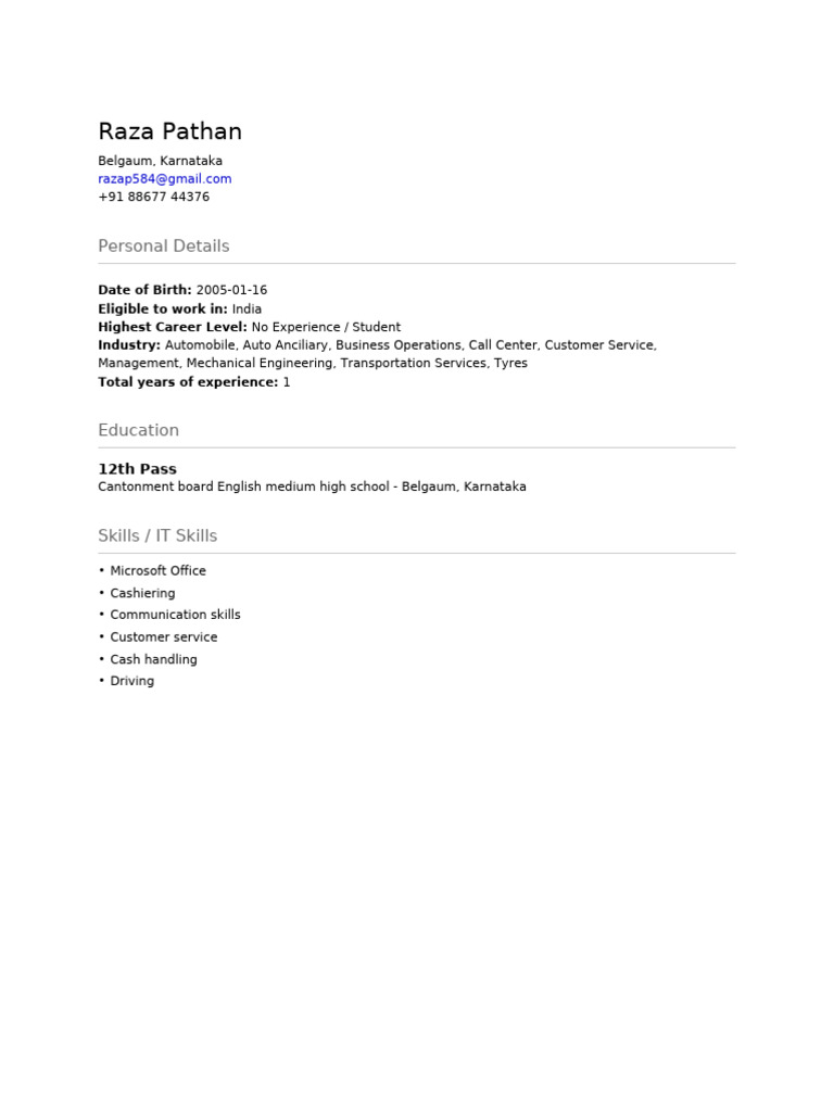Raza Pathan - Student Resume Overview | PDF