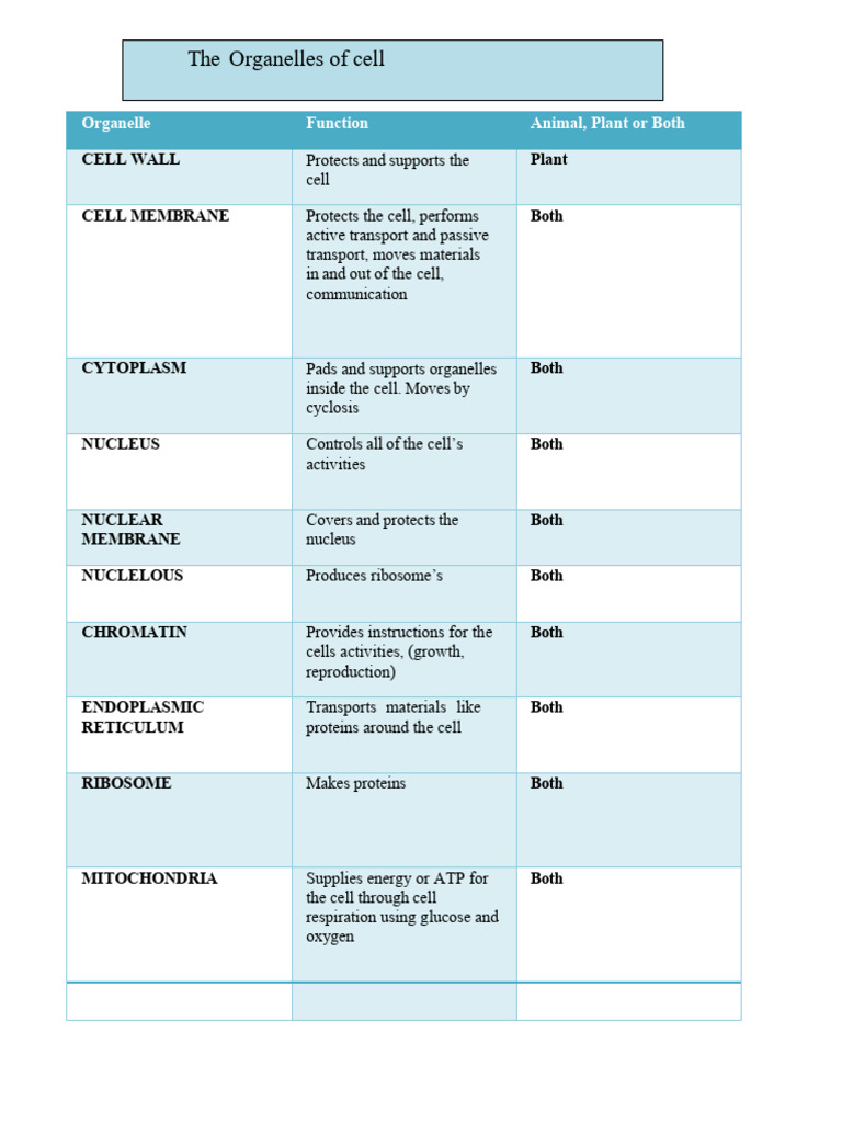 Cell Organelles and Their Functions | PDF