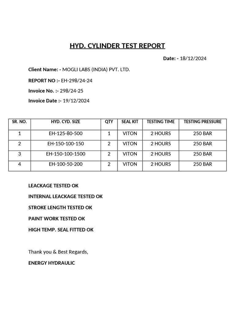 Hydraulic Cylinder Test Report 2024 | PDF
