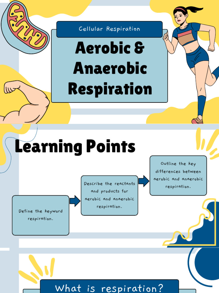 Aerobic and Anaerobic Respiration | PDF | Cellular Respiration | Metabolism