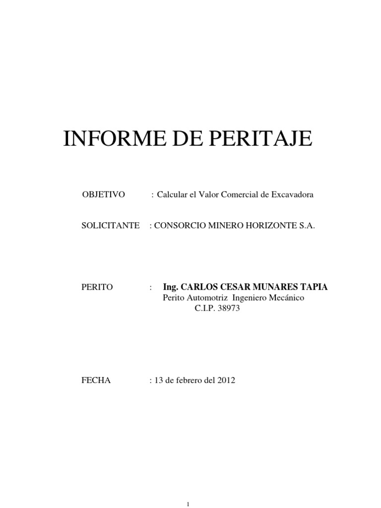 Tasaciòn EXCAVADORA | Valoración empresarial | Depreciación