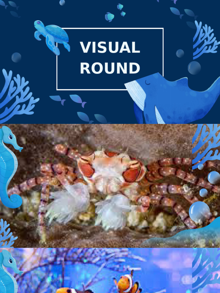 Visual Round | PDF
