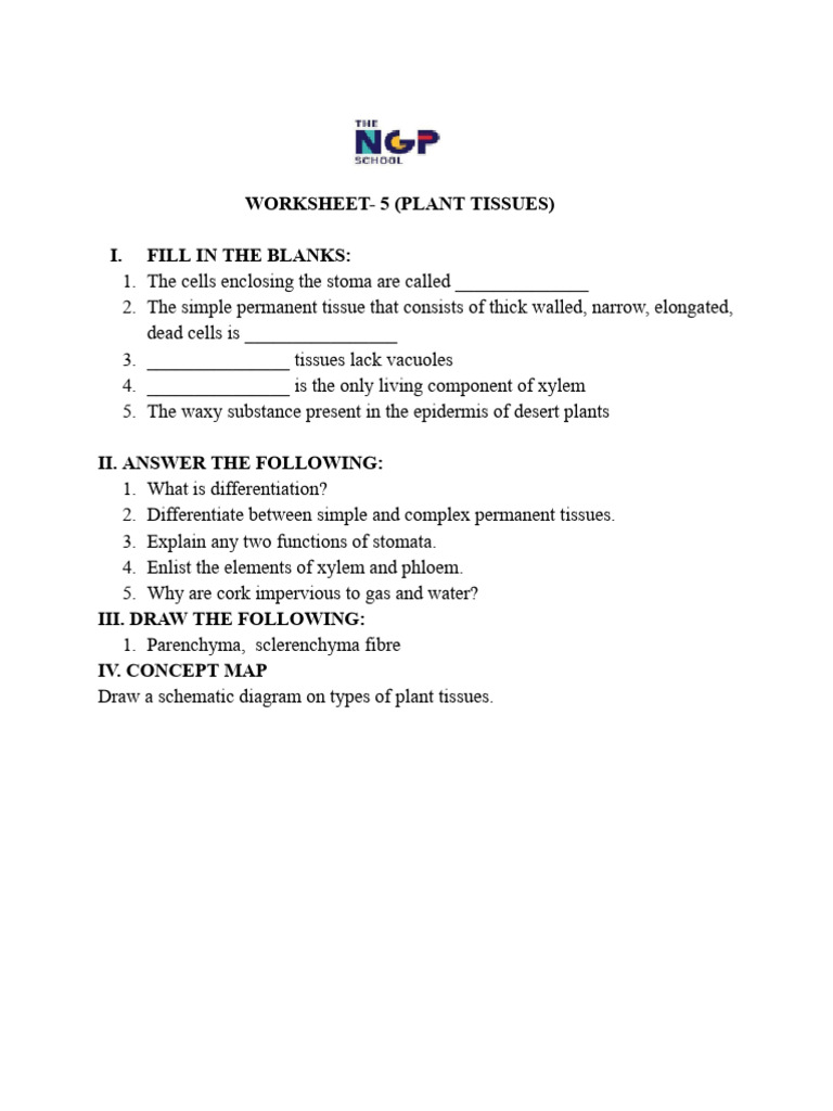 G9 Bio WS - 5 | PDF