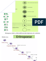 Eritropoese
