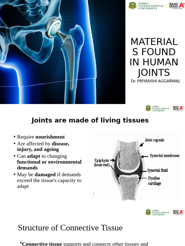 Materials of Human Joint | PDF | Collagen | Connective Tissue