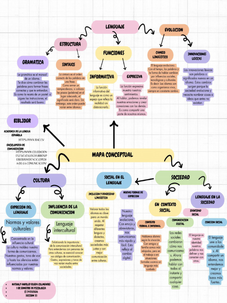 Mapa Conceptual 1 | PDF