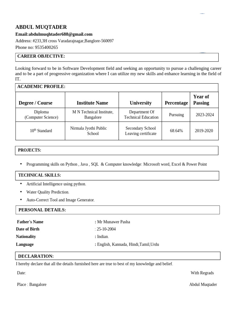 Aspiring Software Developer Resume | PDF