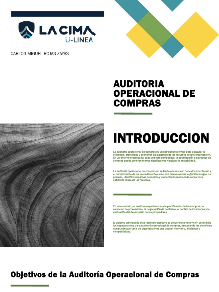 Auditoría Operacional de Compras Eficiente | PDF | Auditoría ...