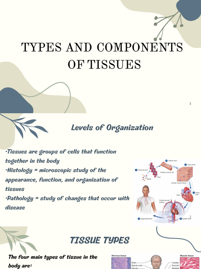 Types and Functions of Body Tissues | PDF | Tissue (Biology) | Staining