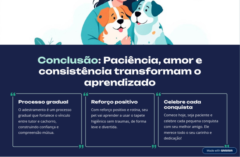 Conclusao Paciencia Amor e Consistencia Transformam o Aprendizado | PDF