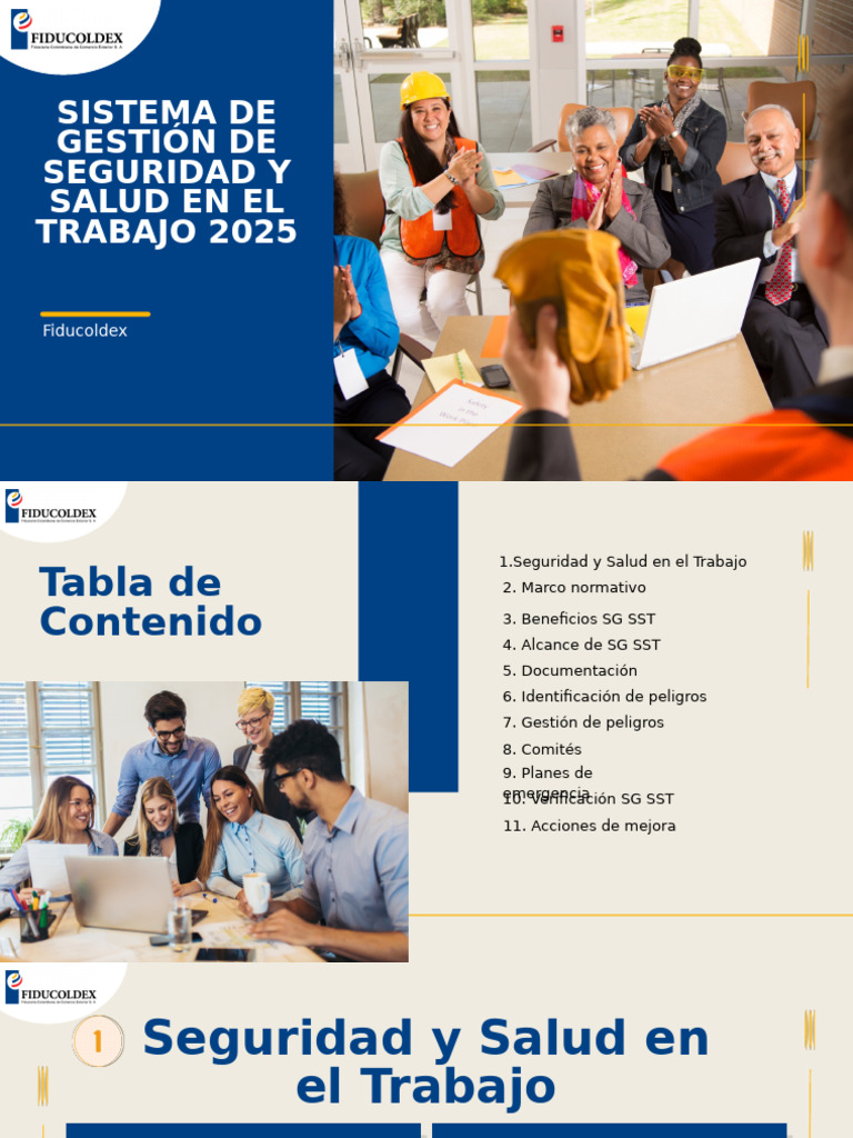 Sistema de Gestion de Seguridad y Salud en El Trabajo 1 | PDF ...