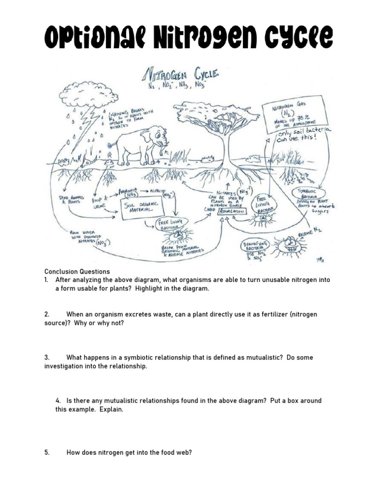 Nitrogen Sources for Elephants and Lions | PDF