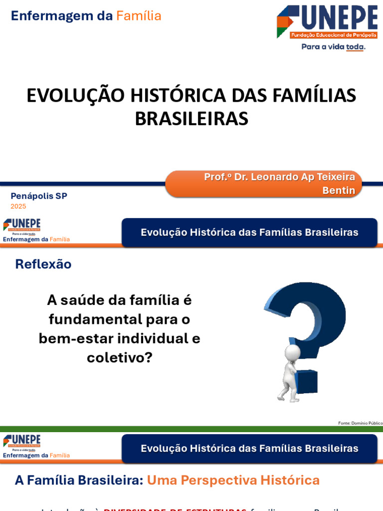 Evolução das Famílias Brasileiras | PDF | Família | Igualdade de gênero